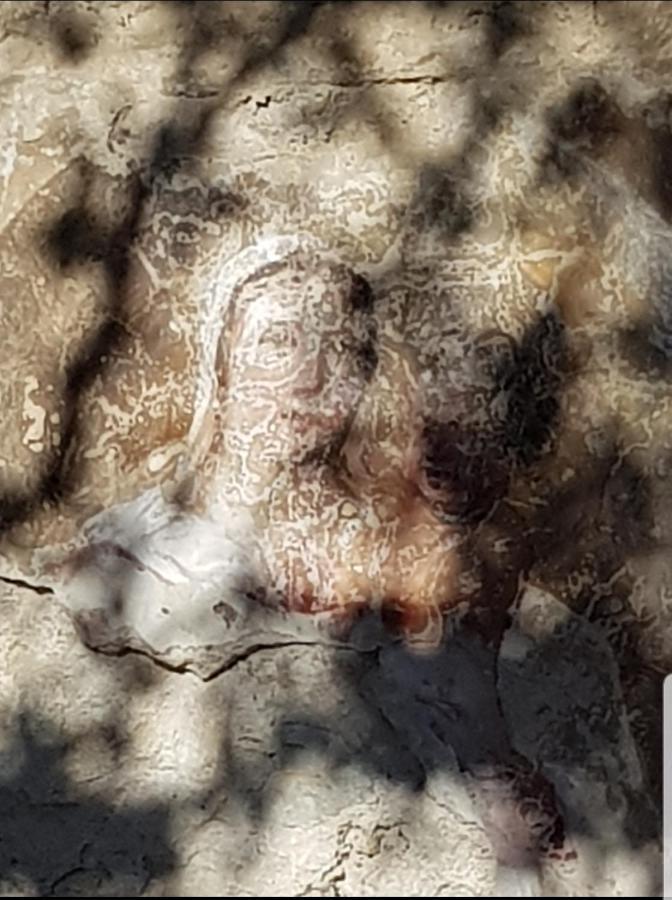 Chambre D'Hote Geiko Cabrieres-d'Aigues 外观 照片